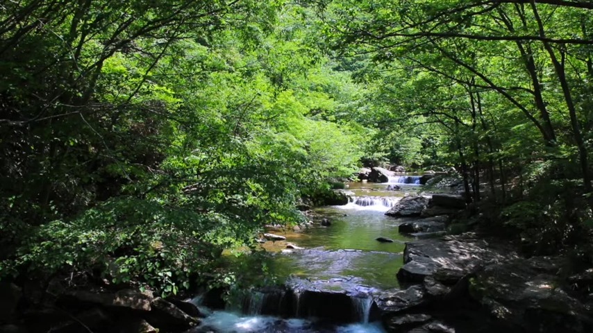 대한민국 계곡 소리