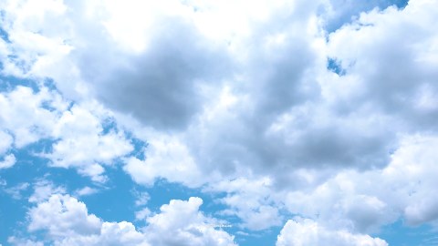 테스트 영상입니다.